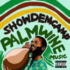 What You Want (feat. Tomi Thomas) - Show Dem Camp