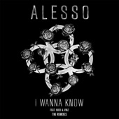 I Wanna Know (feat. Nico & Vinz) [Ansolo Remix] artwork