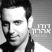 אהובה שלי artwork