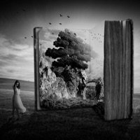 Knowledge (Instrumental) - Single - Finch Beats