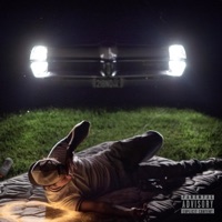 Life in a Spiral - Zane Neale