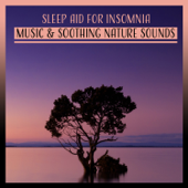 Sleep Aid for Insomnia – Music & Soothing Nature Sounds to Fall Asleep, Healing Therapy for Trouble Sleeping (Ocean, Rain, River, Waterfalls)