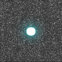 Биливми - Single - Zinc Freaks & Гари Гудини