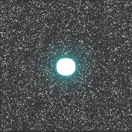 Биливми Zinc Freaks & Гари Гудини