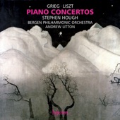 Piano Concerto in A Minor, Op. 16: III. Allegro moderato molto e marcato artwork