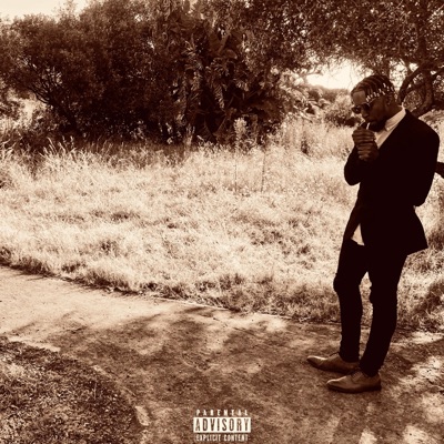 Phases - Single