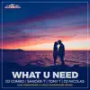 Stream & download What U Need (Max Farenthide & Disco Superstars Remix) [feat. DJ Nicolas] - Single