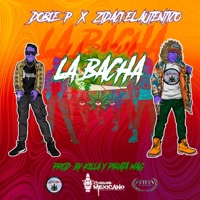 La Bacha (feat. Zidaci El Auténtico & La Doble P) - Single - Consume Mexicano