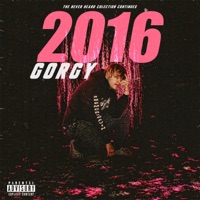 2016 - Gorgy