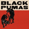 Colors by Black Pumas iTunes Track 4