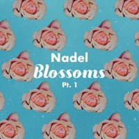 Blossoms, Pt. 1 - Single - Nadel