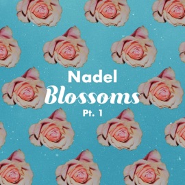 50 Plant Nadel