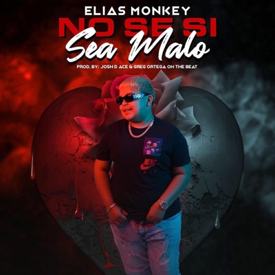 No Se Si Sea malo - Single
