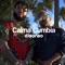 Calma Cumbia - DJ Sanso lyrics