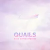 Quails - High Hopes