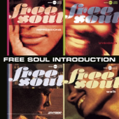Free Soul Introduction