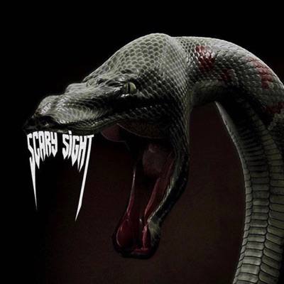 Scary Sight - Single
