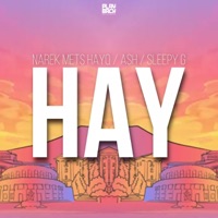 Hay (feat. Ash & Sleepy G) - Single - Narek Mets Hayq