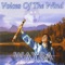 Big Mountain - Wayra lyrics