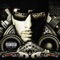 Bust Ya Gunz (feat. Drag-On) - Swizz Beatz lyrics