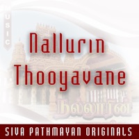 Nallurin Thooyavane (feat. Meera Mathu, Shangeerththan, Jeyanthan Wicky, Ramanan Raam, Singer Madonna Barathy & Pakir Mohan) - Single - Siva Pathmayan