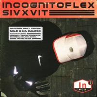 Na całość (feat. Pancerny & Melonik) - Single - SIVXVIT