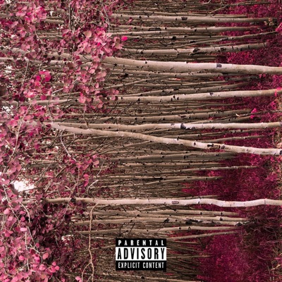 The Wild Mind of Justus