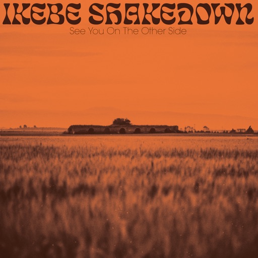 Ikebe Shakedown - See You On the Other Side - Single