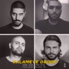 Kalameye Oboor (feat. Ali Owj) - Single