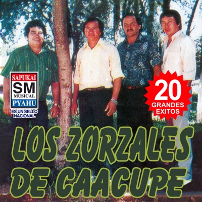 Song - Ojostorvapa La Tekoviara - Los Zorzales de Caacupe