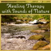 Healing Therapy with Sounds of Nature: Soothing Soundscapes for Sleep and Relaxation (Birds, Ocean Waves, Waterfalls, Rain) - Nature Sounds Paradise