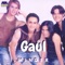 Minder - Gaul lyrics