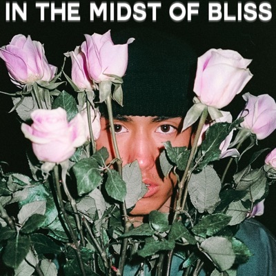 In the Midst of Bliss - Single