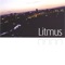 Love Will Tear Us Apart - Litmus lyrics