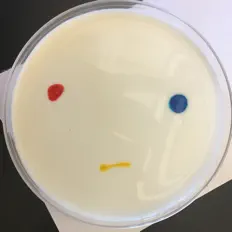 Listen to Tiny Music Man, watch music videos, read bio, see tour dates & more!