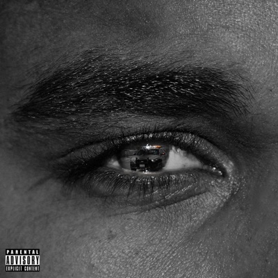 Zip Ties - Single