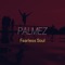 Fearless Soul (Extended Remix) - Palmez lyrics
