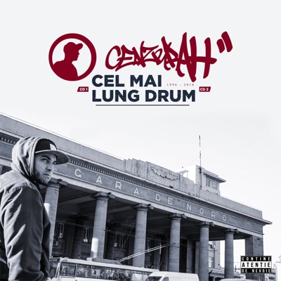 Muzica Din Stilou (feat. Maich) - Single