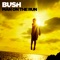 The Gift - Bush lyrics