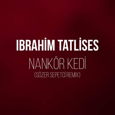 Nankör Kedi (Sözer Sepetci Remix)