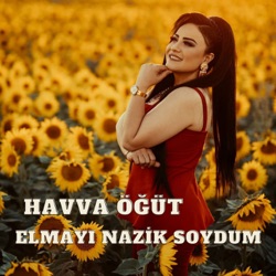 Elmayı Nazik Soydum