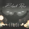 Black Rose, 2015