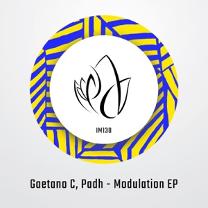 Modulation - Single