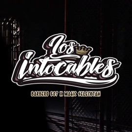 Los Intocables Barbero 507