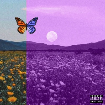 Purple Zone (feat. AndyHas) - Single