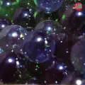 Something's Burning