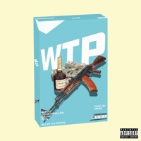 WTP (feat. Teen, E-Kove & DayneTheVillain) - Single - Augvst
