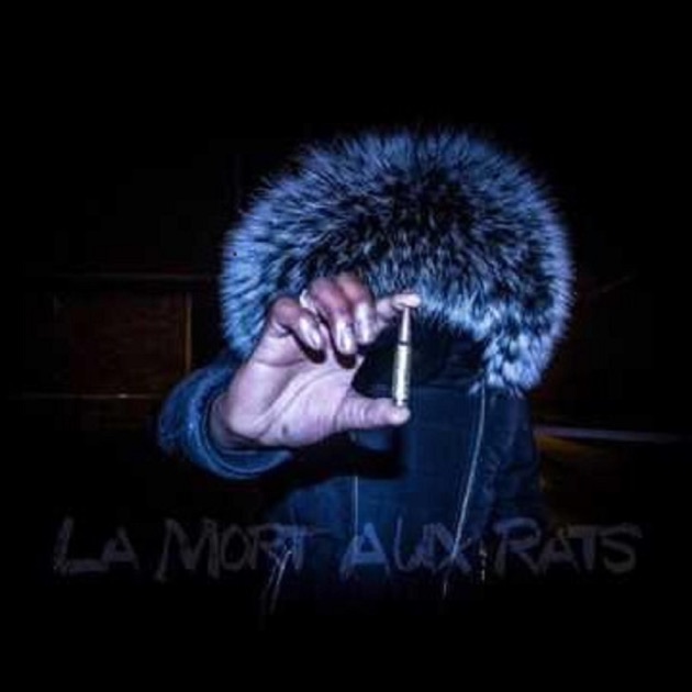 La Mort Aux Rats – Song by Maestro Rsl – Apple Music