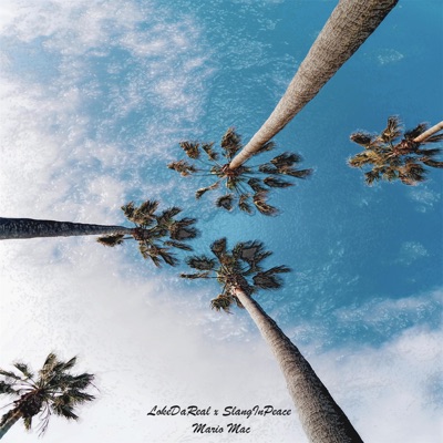 Been Trough (feat. SlangInPeace & Mario Mac) [Nate Huncho Remix] - Single