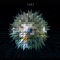 Disco Queen (Keenhouse & the Starbow Remix) - Ishi lyrics